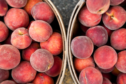 Eastern Market Peaches List