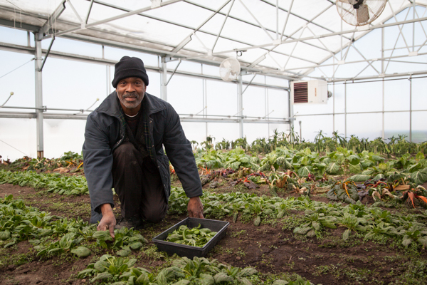 Willie Spivey, green house coordinator at Plum Street Market Garden