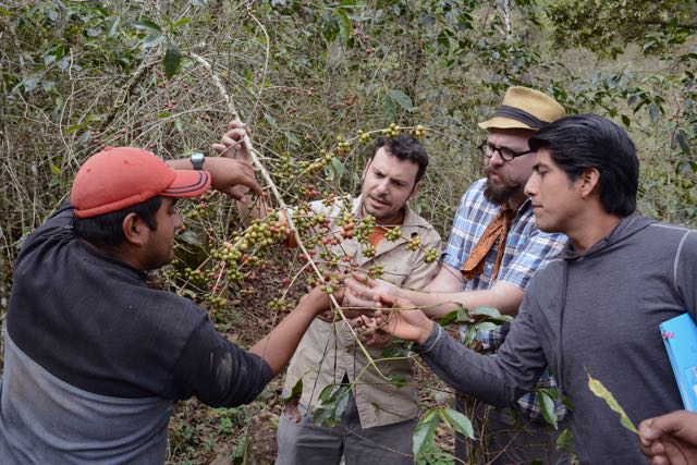 Carbonell and Hooton get a lesson from Talea de Castro farmers 