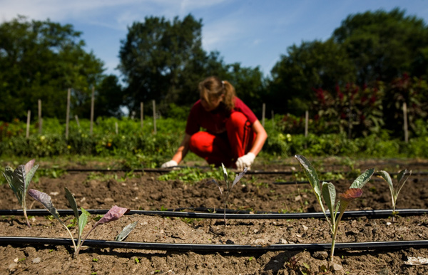 Earth Works Urban Farm