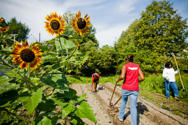 Earth Works Urban Farm