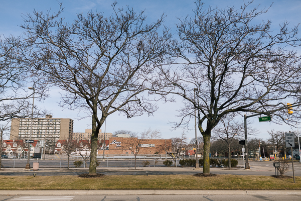 Trees line W. Grand Boulevard