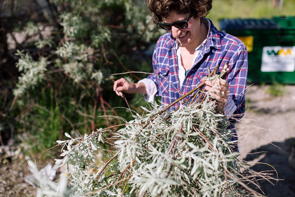 Pappas holding the cut plant